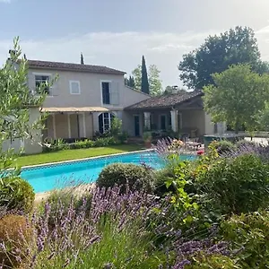 Mas Des Iris Gasthuis Saint-Rémy-de-Provence